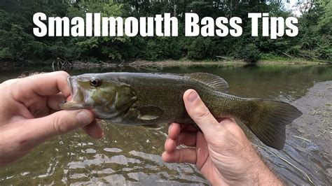 River Fishing Tips For Smallmouth Bass Using Minnows And A Slip Bobber