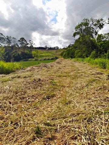 Lote Terreno Para Venda 500 Metros Quadrados Em Centro Itapevi