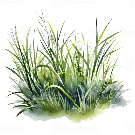 Watercolor Green Grass Illustration