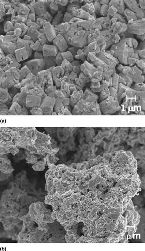 Sem Images At Different Magnifications Of The Powder Surface After