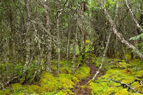 Best Techniques for Landscape Photography in Alaska