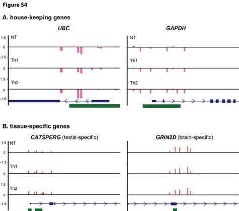 Figure S Methylation Probe Levels Of Selected Housekeeping A And