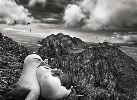 Sebastião Salgado Genesis Jack Tummers