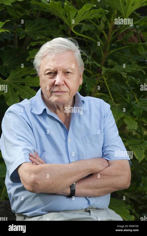 David Attenborough Hi Res Stock Photography And Images Alamy