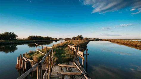 Il territorio del Delta del Po paesaggi naturali e biodiversità uniche