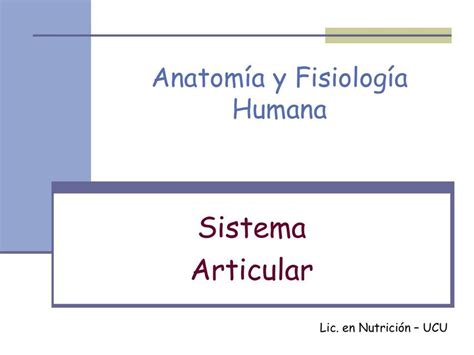 Sistema Articular Nere Schneider Kunzke UDocz