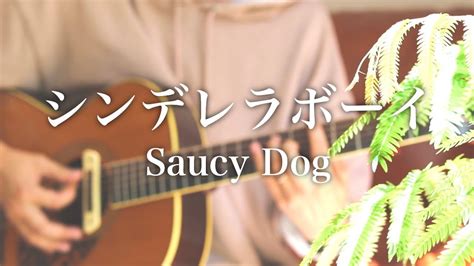 Saucy Dog『シンデレラボーイ』サビ〜ギターソロまで弾き語り【cover】 Youtube