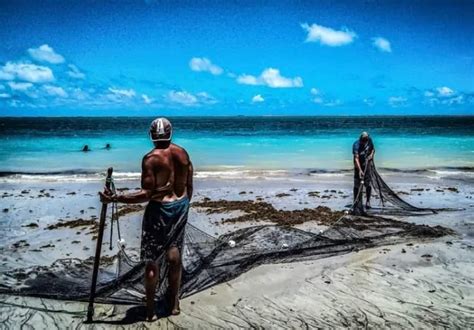 Seis Trechos De Praias No Litoral Da Para Ba Est O Impr Prios Para