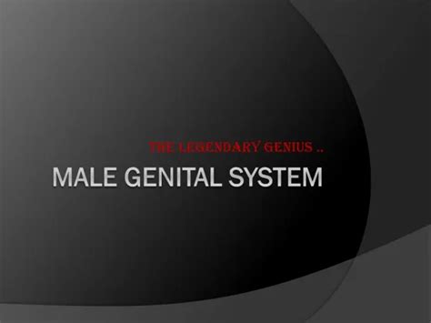 PPT Pathology Of Male Genital System PowerPoint Presentation Free