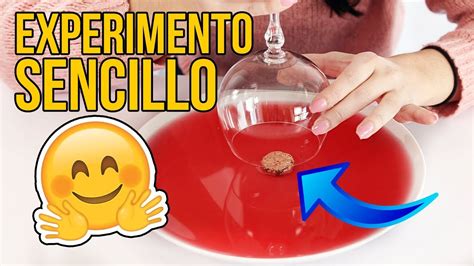 El IncreÍble Experimento Sencillo Que Puedes Hacer En Casa Youtube