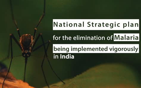 National Strategic Plan For Elimination Of Malaria Innohealth Magazine