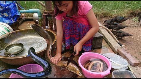 Amazing Cute Girl Cooking Eel For Lunch How To Cook Eel In Cambodia Youtube