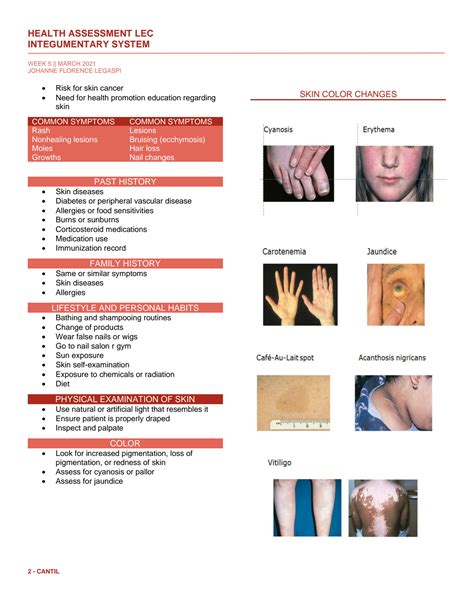 Solution Nursing Health Assessment Integumentary System Notes Studypool