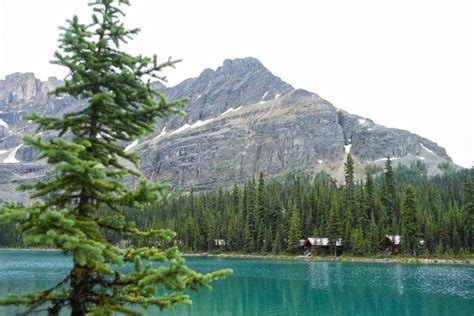 Moraine Lake Lake Louise Halvdags Sightseeingtur Getyourguide