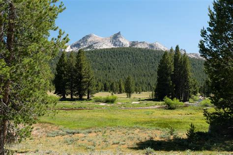 Day Hiking Elizabeth Lake Yosemite National Park — Billy Dekom