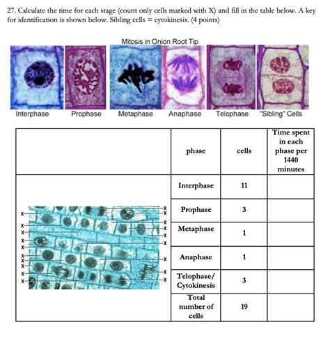 SOLVED 27 Calculate The Time For Each Stage Count Only Cells Marked