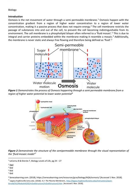 Osmosis Practical Report Biology Year 12 Sace Thinkswap