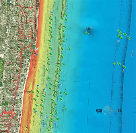 Local guides explain the best fishing spots in hillsboro beach florida 16