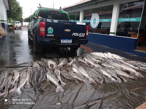 PMA de Coxim e São Gabriel autuam em R 10 2 mil pescador profissional