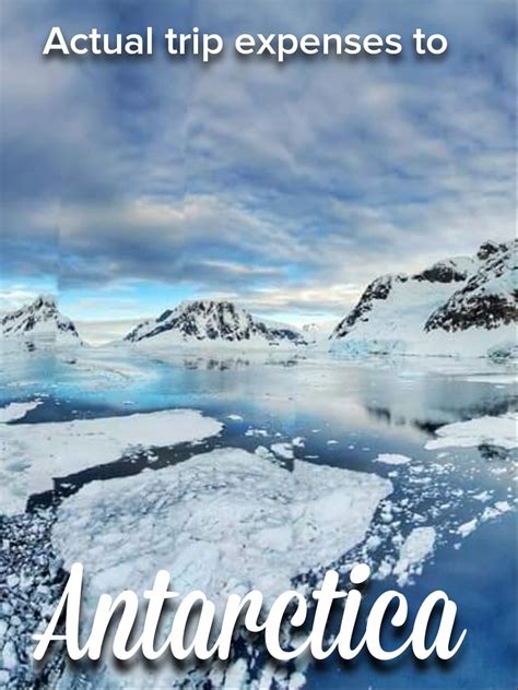 How Much Does It Cost To Go To Antarctica My Antarctica Trip Cost