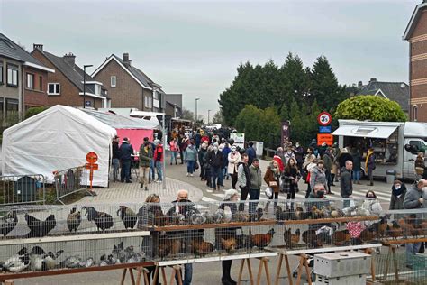 Foto S Een Bezoekje Aan De Jaarmarkt Van Sint Pieters Leeuw Persinfo