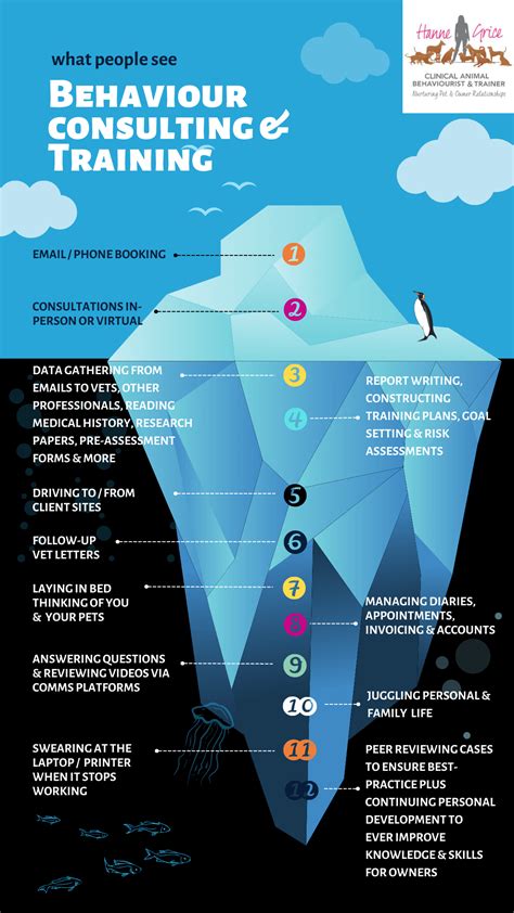 What Clients See The Tip Of The Iceberg Hanne Grice Pet Training