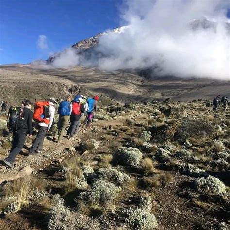 5 DAYS KILIMANJARO MARANGU ROUTE CLIMBING HIKING TREKKING PACKAGE