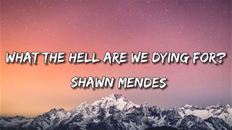 Shawn Mendes What The Hell Are We Dying For Lyrics Youtube