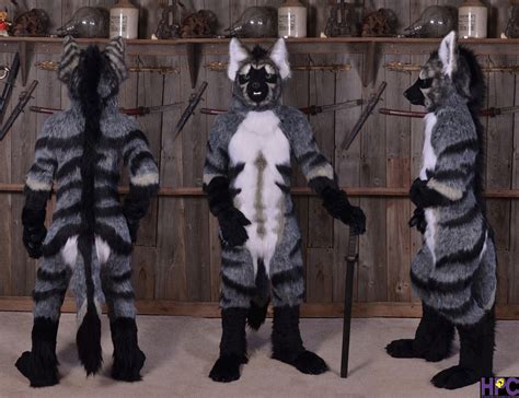 Fn Artwork Aardwolf Fursuit