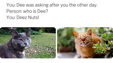 35 Best Deez Nuts Jokes That Will Burst Out Your Laughter