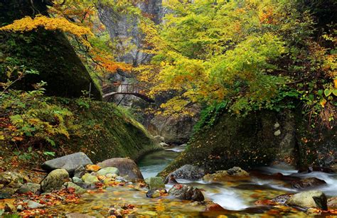 K K K Vancouver Island Parks Canada Parks Rivers Autumn