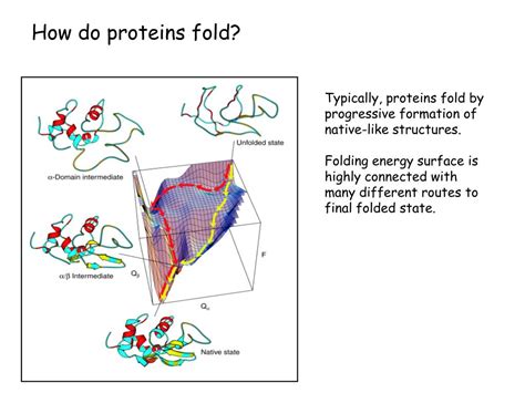 Ppt Protein Folding Protein Structure Prediction Protein Design