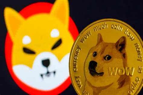 Shiba Inu Burn Rate Skyrockets 1600 Amid SHIB Price Slump What S