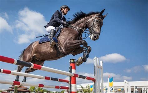 Equitation Le Cavalier Allali Sid Ali Remporte Le Grand Prix Sp Cial