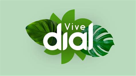 Elige La Canci N Que No Puede Faltar En Vive Dial Cadena Dial