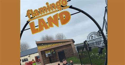 Flamingo Land Review Mybump2baby