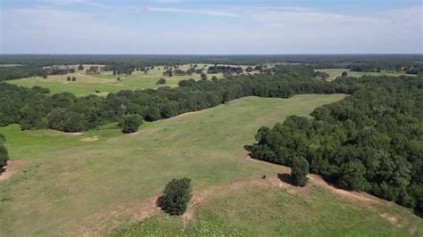 1100 Acre Cattle Ranch For Sale Simms Texas Bowie County