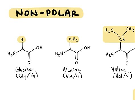 Mcat Amino Acids Cheat Sheet Etsy