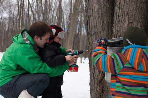 What We Learned About Making Maple Syrup Simple Bites