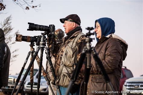 Bosque del Apache Photography Workshop | Socorro, NM | 970-385-5853