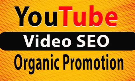 Professional014 I Will Do Best Youtube Video SEO Expert With Vidiq And