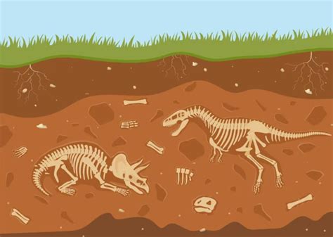 animals listings  extinction period