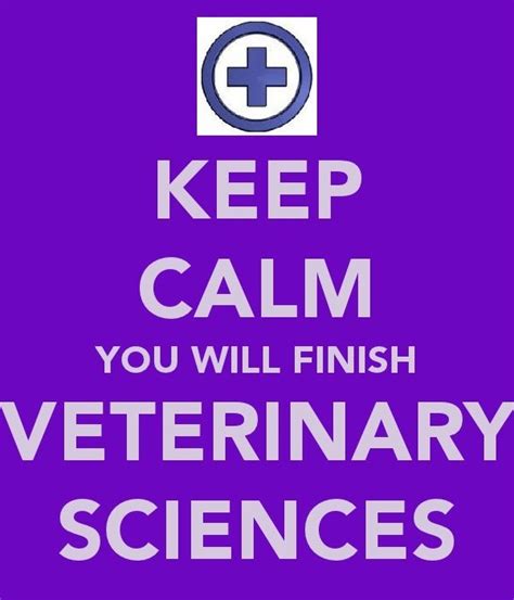 You Will You Know You Really Will Veterinarian Quotes Vet Tech