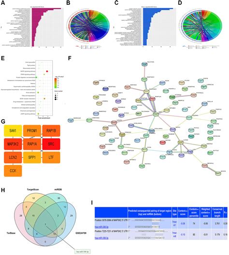 MiRNA 338 3p Inhibits The Migration Invasion And Proliferation Of