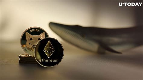 Why Shiba Inu SHIB Is Go To Cryptocurrency For Big Ethereum ETH Whales