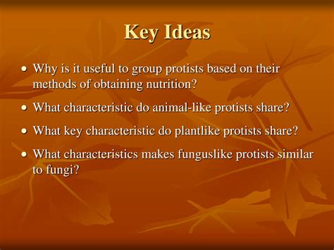 Ppt Ch 21 Protists Powerpoint Presentation Free Download Id483981