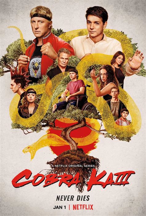 Cobra Kai Season Poster Geeky Kool