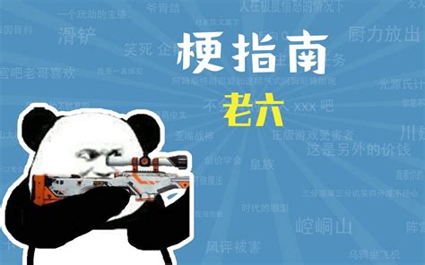 老六是什么梗梗指南 梗指南 梗指南 哔哩哔哩视频