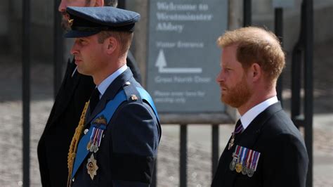 K Nig Charles Krebsdiagnose Jetzt Sind William Und Harry Am Zug Gmx Ch