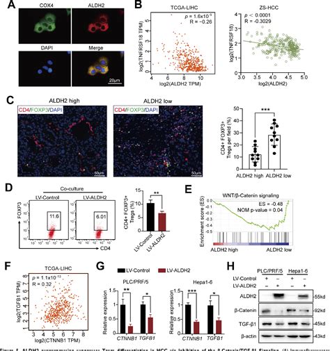 Figure 5 From Multi Omics Profiling Identifies Aldehyde Dehydrogenase 2